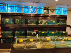 -农家大院(纪王店)