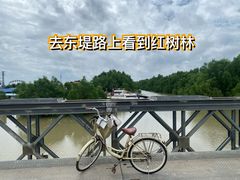 -崖口云吞(中堡店)
