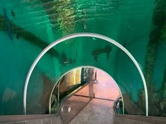 -瑞德姆美人鱼海底演艺主题餐厅(亚龙湾店)