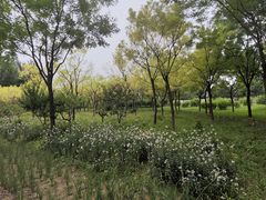 -东郊湿地公园