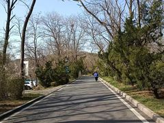 -棒棰岛宾馆景区