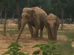 -石家庄市动物园