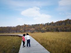 -塞罕坝国家级自然保护区