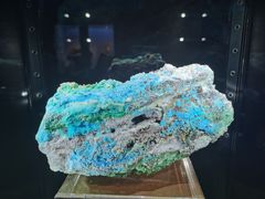 -中国地质大学逸夫博物馆