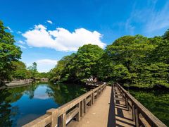 -井之头恩赐公园