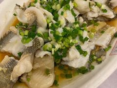 葱油鲈鱼-粤·向群饭店(龙津东路总店)