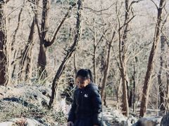 -阳台山自然风景区