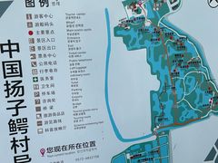 -中国扬子鳄村