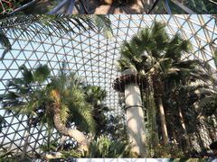 -上海辰山植物园