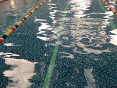 -西吉马游泳健身(协信店)