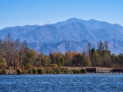 -野鸭湖国家湿地公园