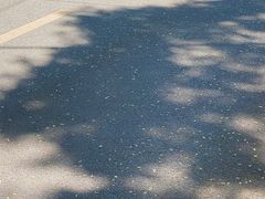 -清真喜兰老丁羊汤特色小吃