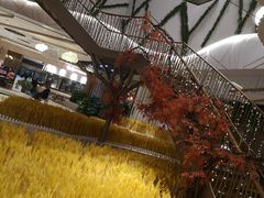 -武汉光谷K11