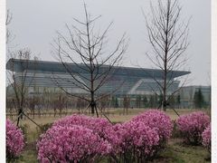 -沈阳南站