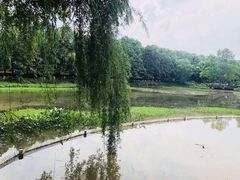 -邓小平故里