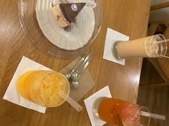-滚猫咖啡·猫咖·猫友好撸猫(未来城店)