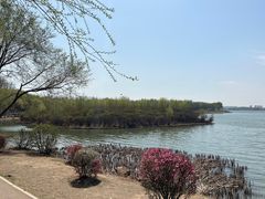 -丁香湖公园