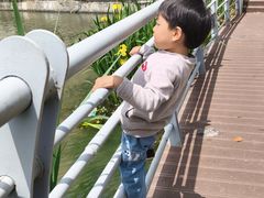 -美兰湖景区
