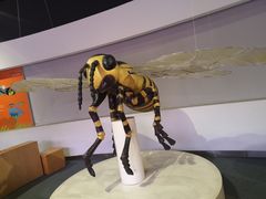 -陕西自然博物馆