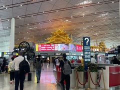 -稻香村(首都国际机场3号航站楼店)