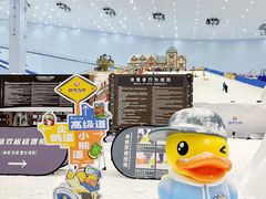 -广州热雪奇迹