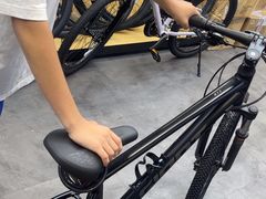 -GIANT捷安特自行车专卖店(金桥台儿庄路店)