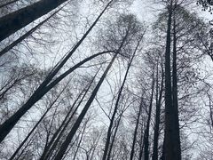 -乌镇东栅景区