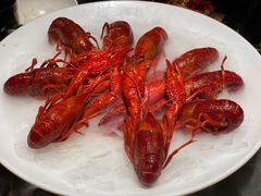 -红盔甲·小龙虾(人民广场店)