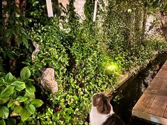 -苏州姑苏小院·东花里酒店