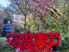 -深圳国际园林花卉博览园