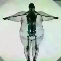 -香薇妮丝女子减肥院