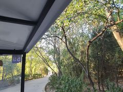 -塘沽森林公园