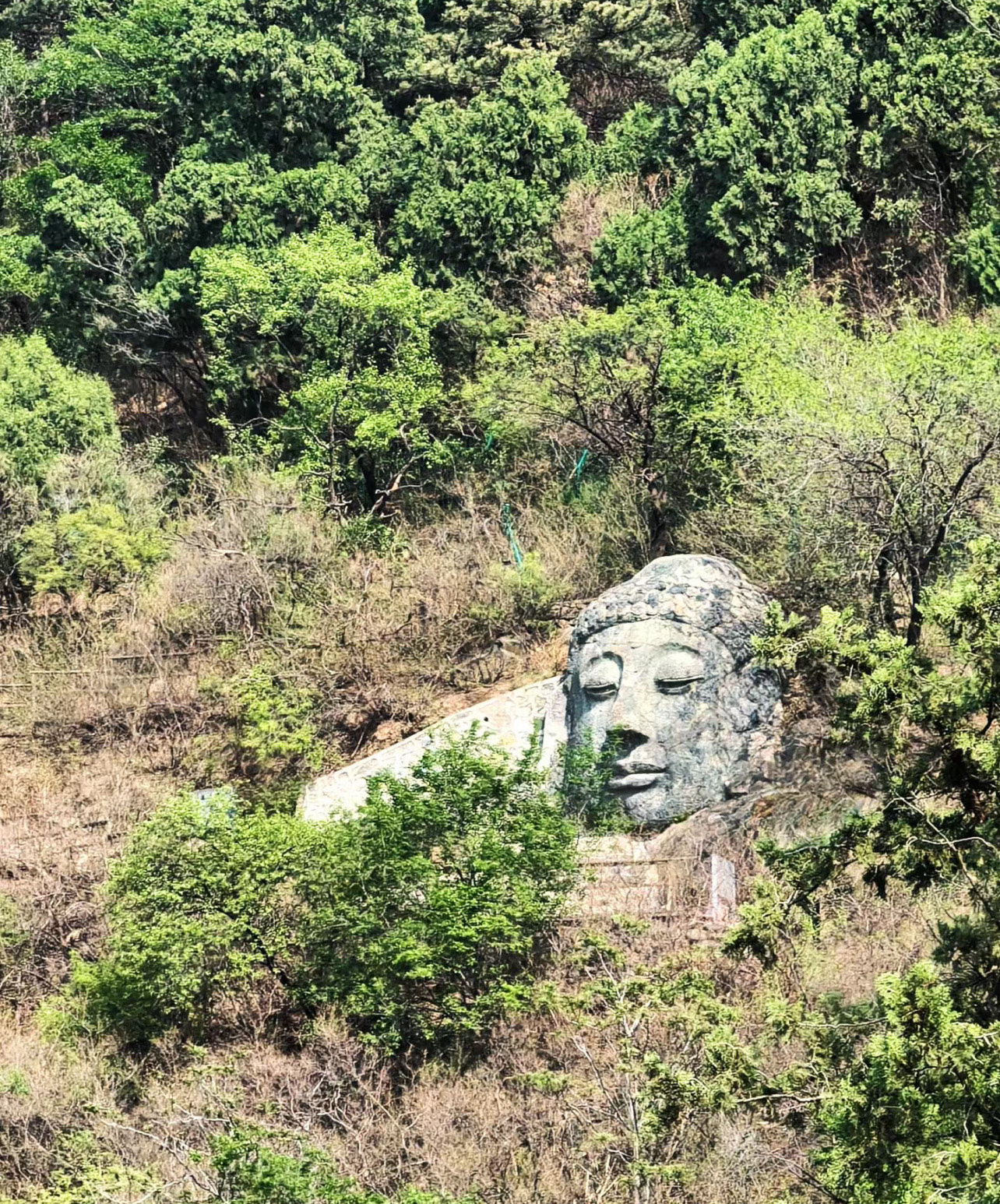 慈善寺佛头来历图片