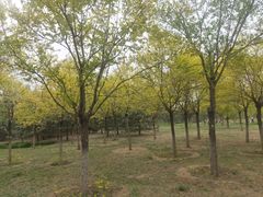 -东郊湿地公园