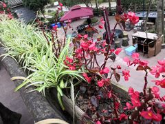 -楠柏弯休闲山庄(梨花溪店)