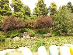 -秀丽东方