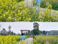 -中国天府农业博览园