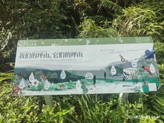 -马峦山郊野公园