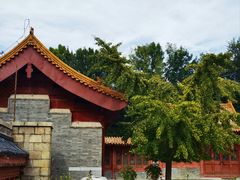 -元大都城垣遗址公园