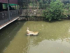 -润记农家菜