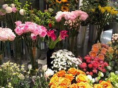 -植物学家的女儿(北马道巷店)