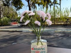 -ommo cafe(半岛城邦店)