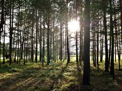 -北极村旅游风景区