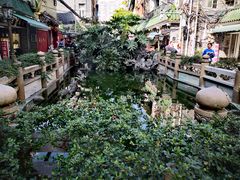 -华林禅寺