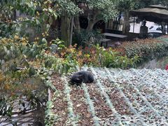 -兰桂坊·花园餐厅(西湖店)
