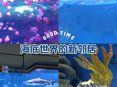 -广州海洋馆