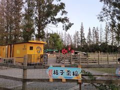 -前小桔亲子创意农场·草莓采摘·露营烧烤