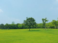 -上海吴淞炮台湾国家湿地公园