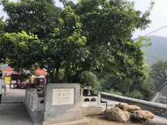 -八奇洞景区