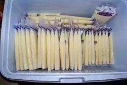 -瑞晨曦催乳产后健康(枣园店)